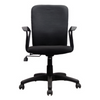 Zebra Office Chair Low Back